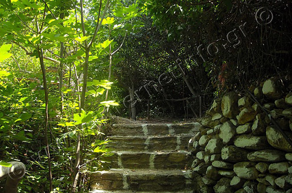 Πάρος Κοιλάδα με τις Πεταλούδες Φωτογραφίες